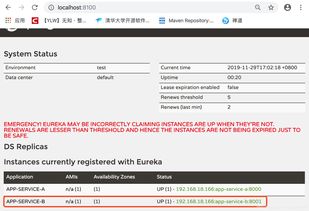 微服務技術系列教程(17): SpringCloud服務治理Eureka搭建注冊中心與互聯(lián)網域名注冊服務詳解